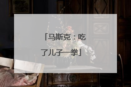 马斯克：吃了儿子一拳